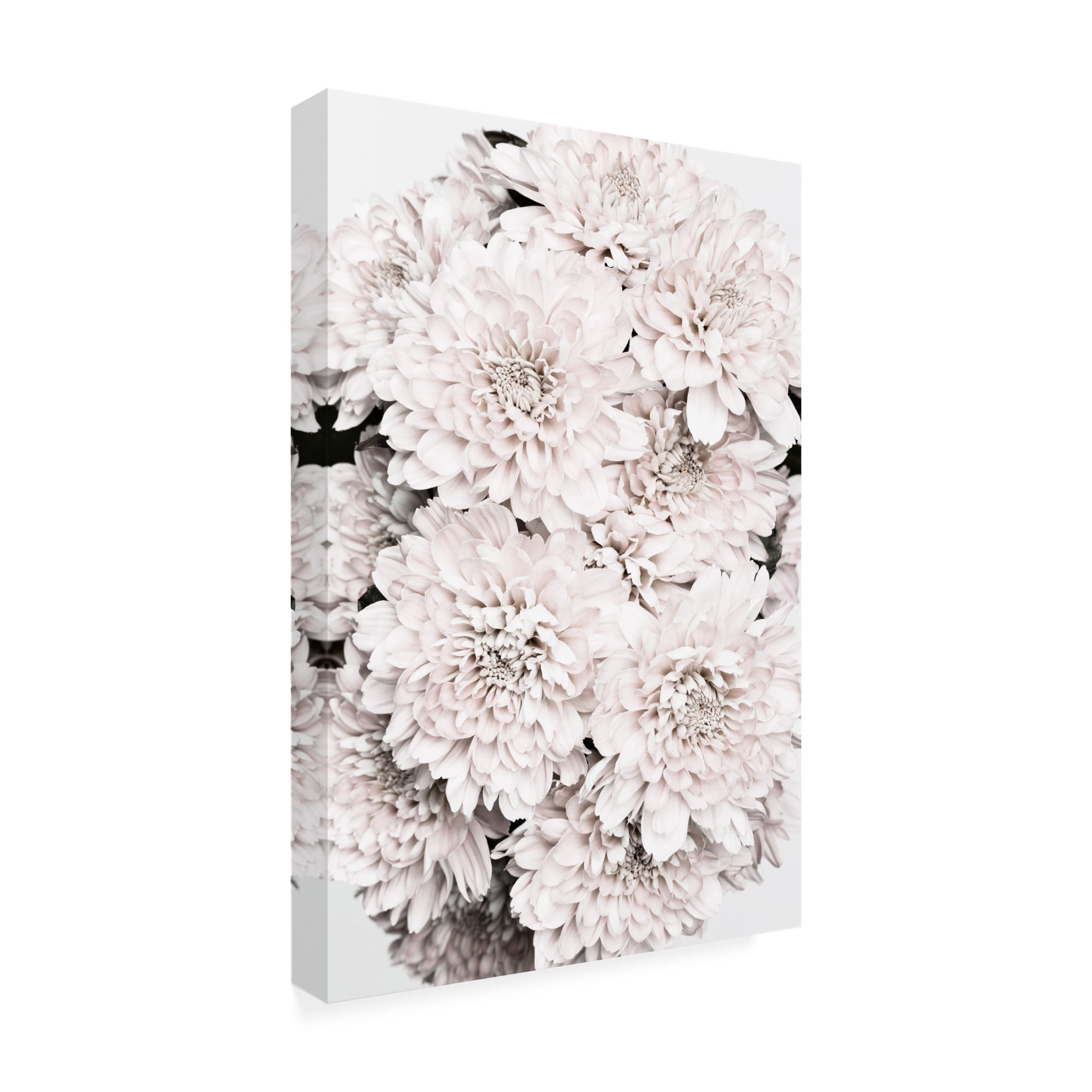 Trademark Fine Art Pictufy Studio Chrysanthemum No 08 Canvas Wall Art