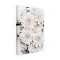 thumbnail image 4 of Trademark Fine Art Pictufy Studio Chrysanthemum No 08 Canvas Wall Art, 4 of 4