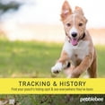 Pebblebee Found LTE GPS Tracker for Dogs with Thirty Day Battery and
