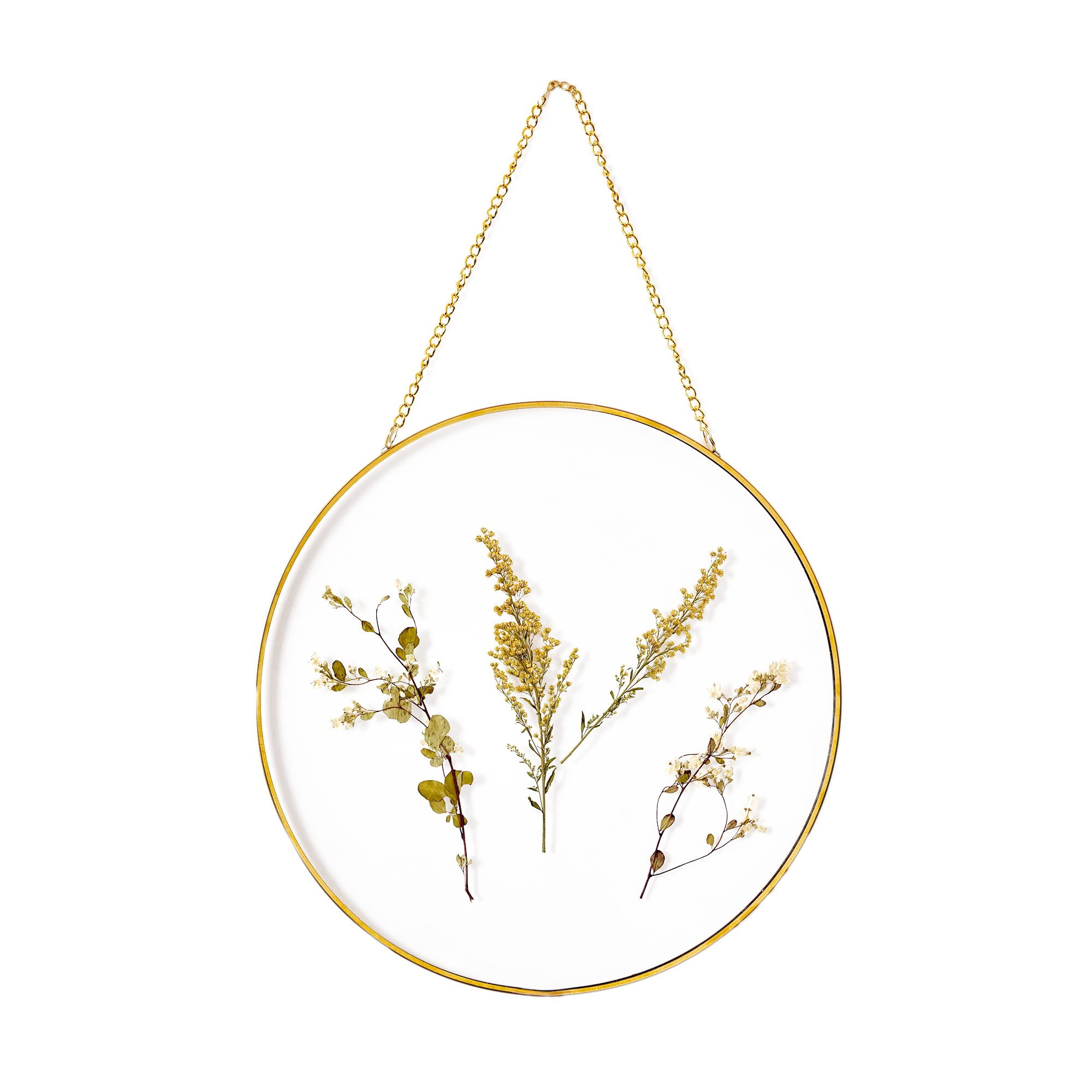 (3 pack) Mainstays Hanging Gold Circular Framed Glass Dried Pressed Floral Wall Decor, 9x9