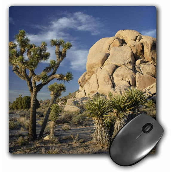 3dRose, USA, California. Joshua Tree, Joshua Tree National Park., MousePad
