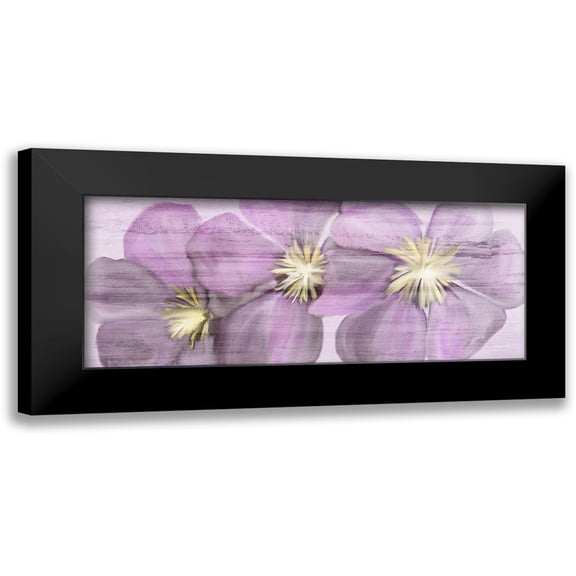 Kimberly, Allen 14x8 Black Modern Framed Museum Art Print Titled - Violet Clematis