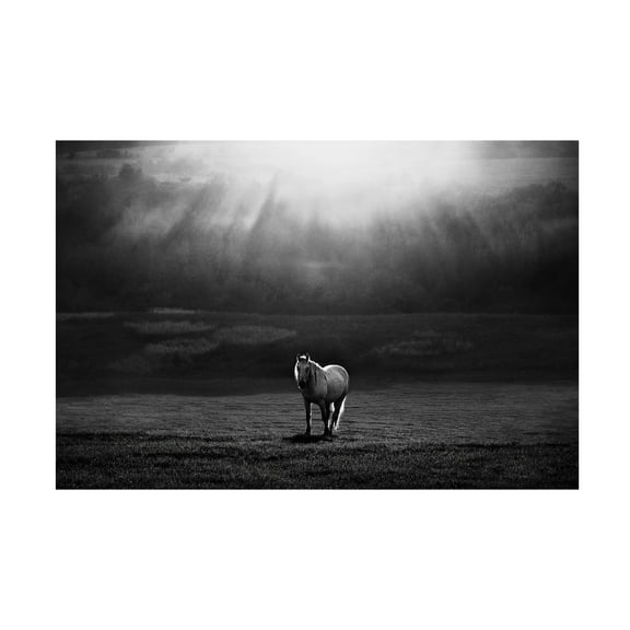 Peter Svoboda 'Morning Appearance' Canvas Art