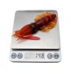 thumbnail image 2 of 4 Señuelos de Pesca Calamar color15cm Ojos 3D Luminosos Bionics Cebos Suaves, 2 of 8