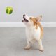 thumbnail image 5 of Juguetes para perros Bi Te Látex Moler los Dientes Hacer Sonido Perro Pequeño Golden Pet Toy Ba Ll, 5 of 7