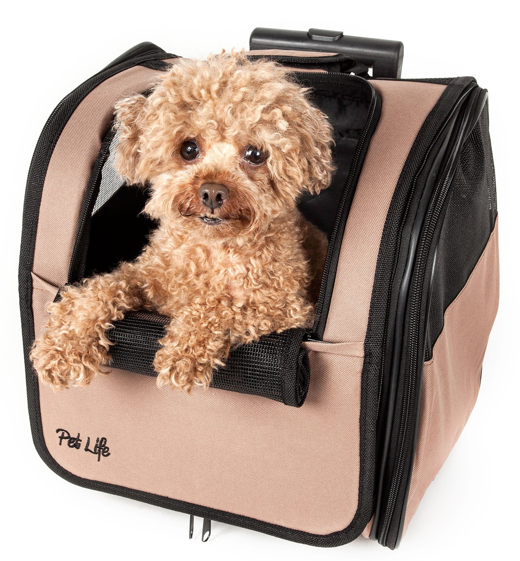 Pawaii Travel Pet Carrier - Pawaii Beige and Tea Green