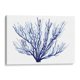 thumbnail image 1 of Cuadro decorativo - Azure Fan Ii, Grace Popp 45x30 Canvas Lab Costal, 1 of 2