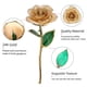 thumbnail image 3 of Forever 24k Gold Rose, Primer Amor, Como Tu Brillante Sonrisa, Rosa, 11-12 Pulgadas, Mano Real Elegida Con Soporte, Rosa Con Soporte, Para Ella, 3 of 7