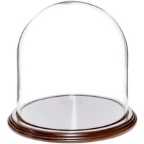 Plymor 8" x 8" Glass Display Dome Cloche (Dark Mahogany Veneer Base)