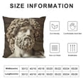 thumbnail image 5 of JRXY  Throw Pillow Cover Aesculapius Statue Sculpture Monument Louvre Paris White, 5 of 5