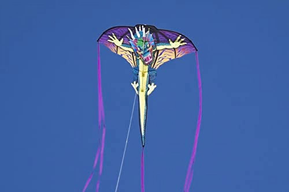 WindNSun Supersize 2-D Dragon Ripstop Nylon Dragon Kite, 65 Inches Tall