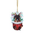 thumbnail image 1 of 1pc Christmas Acrylic Christmas Stockings For Dogs Decorations Christmas Tree Decorations Crafts Hanging Decorations, 1 of 9