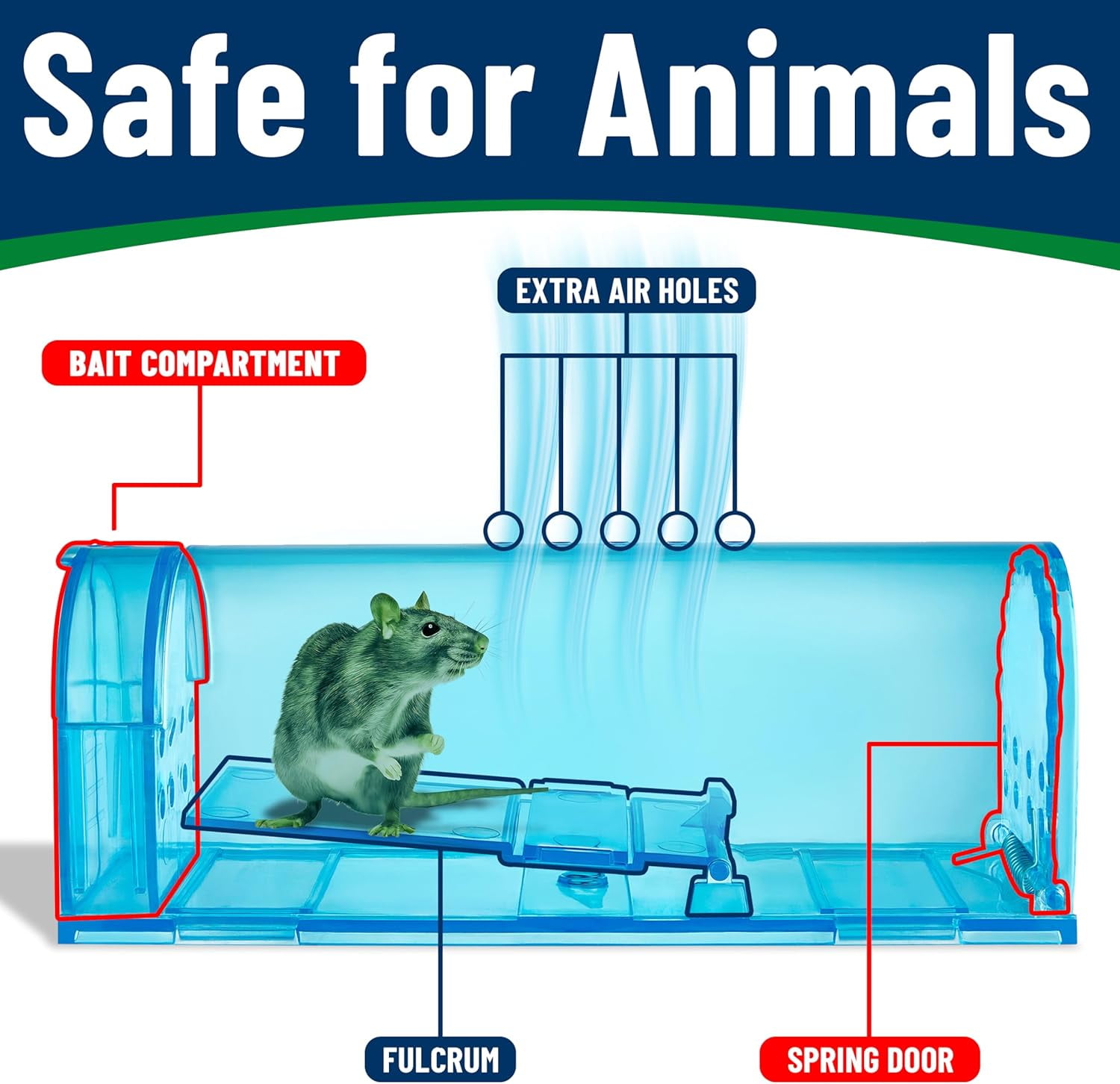 Campior Humane No-Kill Mouse Trap, Large, Indoor, Child & Pet Safe, Easy to Clean, 1-Pack, Blue