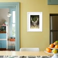 thumbnail image 5 of Mule Deer Buck, Animals Botanical Scenic Framed Art Print Wall Art Sold by Art.Com, 5 of 6