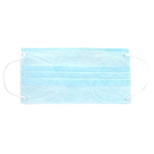 Personal Touch Blue Disposable Earloop Face Mask Pleated Pack of (500 Pcs)