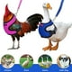 thumbnail image 1 of Xihbxyly Oferta Del Día Prime Solo Hoy Liquidación Cuerda para Pollos con Correa Elástica, Cómoda y Transpirable para Mascotas., 1 of 2