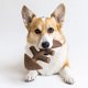 thumbnail image 1 of Benebone Fishbone Durable Dog Tack para masticadores agresivos, pescado real, hecho en EE. UU., Med Benebone Benebone, 1 of 2