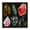 Natural Crystal Gemstones, variant on Stupell Industries Southwestern Various Pebbles in Circle Brown Floating Frame Canvas Art, 25 x 25, by RB