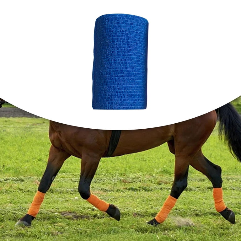 Reginary 60 Rolls Vet Wrap & Self Adhesive Bandage Tape | 2" & 4" X 5 Yards For Sports, Horses, Pets, First Aid
