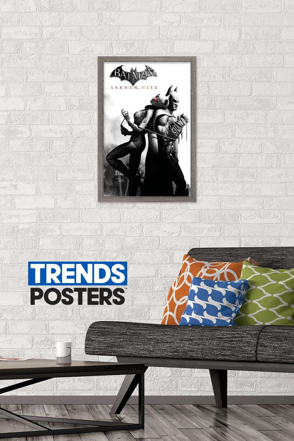 DC Comics Video Game - Arkham City - Catwoman Wall Poster, 14.725" x 22.375", Framed