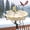 Yellow, variant on Heated Bird Baths for Outdoors, 100W Heated Bird Bath for Deck Railing, Heated Birdbath with Thermostat Control, Heated Bird Bath for Outside Winter Garden Patio Yard (Blue)