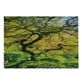 thumbnail image 2 of Japanese Cutting Board, Shadows of Large Maple Along with River with Sun Rays Fall Season Nature Theme, Decorative Tempered Glass Cutting and Serving Board, Large Size, Green Yellow, by Ambesonne, 2 of 5