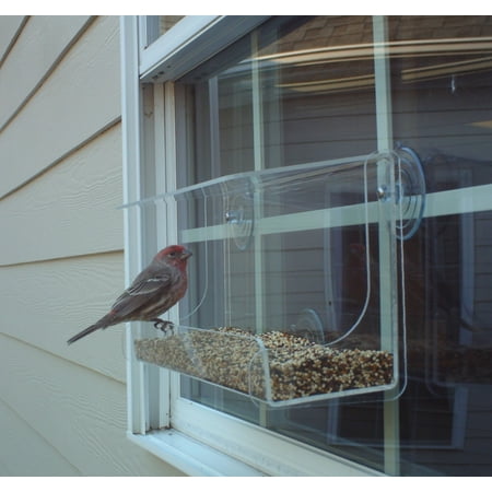 Upc 082045032444 Window Bird Feeder Jcs Wildlife Lg Classic 13