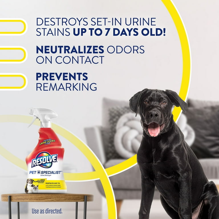 Pet Stain Dog Pee In Carpet Urine Odor Eliminator Best Pee Stain