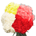 thumbnail image 2 of Mothers Day Guarantee - 200 Stems of Assorted Color Carnations- Next Day Delivery Option at Checkout - Beautiful Fresh Cut Flowers- Express Delivery, 2 of 4