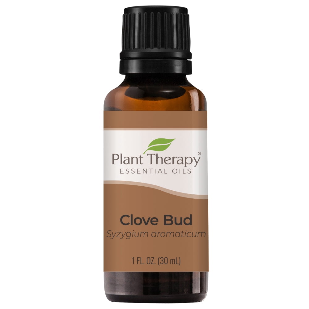 Plant Therapy Clove Bud Essential Oil 100% Pure, Undiluted, Natural Aromatherapy, Therapeutic Grade 30 mL (1 oz)