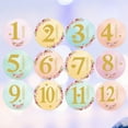 thumbnail image 3 of 12Pcs Creative Round Shaped Sticker Baby Month Stickers Milestone Self-Adhesive Stickers for Newborn, 3 of 9