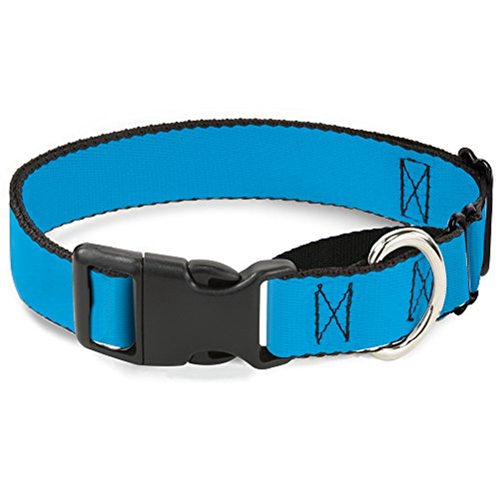 Buckle-Down Martingale Dog Collar - Neon Blue - 1" Wide - Fits 15-26" Neck Size - Large