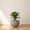 Grey, variant on Ecobo 18.9" Wide, Eco-Friendly Round Pot Planter, HeliconiaIndoor/Outdoor use, Durable, Versatile & Lightweight, Designed by Brazilian Artisans, Contemporary All-Weather Design – Gray Granite