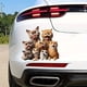 thumbnail image 4 of Pegatinas para coches, pegatinas personalizadas, pegatinas decorativas, impermeables, 4 of 6