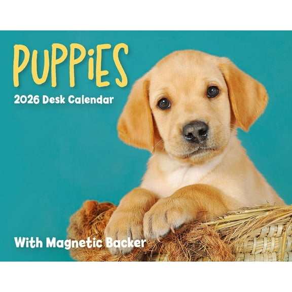 2026 Puppies Mini Box Calendar, (Paperback)