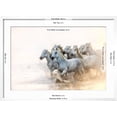 thumbnail image 5 of Art.com White Horses of Camargue Running in the Mediterranean Water at Sunrise Photographic Print by Sheila Haddad, White Frame Wall Art, 29" x 21", 5 of 5