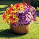 thumbnail image 2 of Flores artificiales Geegoods resistentes a los rayos UV para exteriores x32, 2 of 9