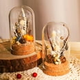 thumbnail image 4 of 20Set Glass Dome Cover Decorative Display Case Cloche Bell Jar Terrarium with Cork Base Arch Clear, 4 of 9