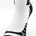 thumbnail image 4 of Competition - Zebra - Dama, 4 of 5