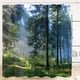 thumbnail image 3 of Cortina de Ducha, Textil Antibacteriano con 12 Ganchos Cortinas de Ducha, 180 x 200 cm, Cortina de Ducha Impermeable a Prueba de Moho ER, 3 of 5