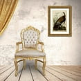 thumbnail image 3 of Audubon, John James 11x14 Gold Ornate Wood Framed with Double Matting Museum Art Print Titled - Willd Turkey, 3 of 4