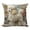 A, variant on Shipiny 17.72x17.72in Pillow Cover with Cute Animals Printing, Soft Decorative Throw Pillow Case for Sofa, Living Room and Bedroom Cushion Decoration, A