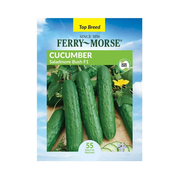 Ferry-Morse 500MG Cucumber Saladmore Bush F1 Annual Vegetable Seeds, Full Sun