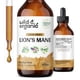 thumbnail image 1 of Suplemento: extracto líquido de melena de león salvaje y orgánico, 120 ml, 1 of 9