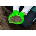 thumbnail image 4 of Outstanding Powder-Free Exam Grade Nitrile - 6 mil, Neon Green, Small to enhance your experience, 4 of 4