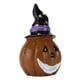 thumbnail image 1 of Decoración De Calabaza, No Tóxico, Fácil De Limpiar, Decoración De Pecera Para Acuario Para Pecera ANGGREK Otros, 1 of 8