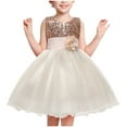 thumbnail image 1 of Birdeem Robe Sans Manches à Col Rond pour Filles Été Nouvelle Jupe Princesse en Dentelle à Volants Broderie Nœud en Maille, 1 of 1