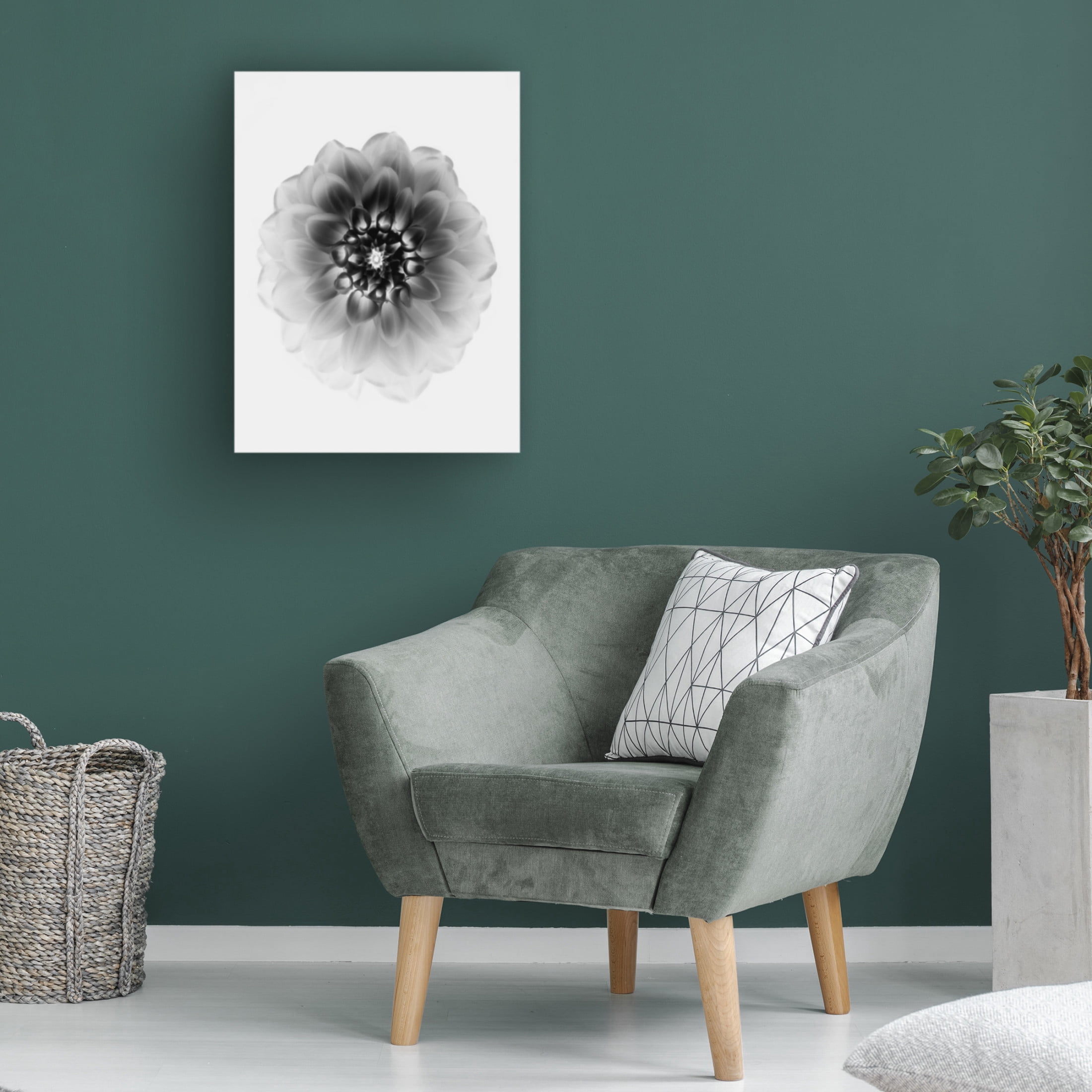 Trademark Fine Art Alex Zhao X Ray Canvas Wall Art