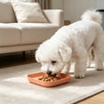 thumbnail image 2 of NWQKYZGH 1PCS Square Pet Food Plates Shallow Wide Design Easy To Clean Snack Feeding Bowl for Dry Food Wet Food Treats for Small Mediums and s -5.71x5.71in, 2 of 6