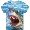 thumbnail image 1 of T-Shirt Respirant à Manches Courtes Tee Top Graphique Col Rond pour 3-16 Ans, 1 of 3